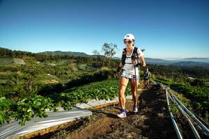 BIB: 495, 
                            <button type="button" onclick="openModal(19115337)" class="btn btn-primary btn-sm float-right btn-popup" data-toggle="modal" data-target=".modal-high-quality">
                        <i class="fas fa-shopping-cart"></i> Add to Cart
                    </button>
                                            <button type="button" onclick="isThisMe(19115337, true)" class="btn btn-success btn-sm float-right btn-popup btn-isme hidden" data-toggle="tooltip" data-placement="bottom" title="นี่คือรูปของคุณใช่ไหม คลิกที่นี่เพื่อเอาเข้าอัลบั้ม">
                        <i class="fas fa-plus"></i> Add to album
                    </button>
                    <button type="button" onclick="isThisMe(19115337, false)" class="btn btn-warning btn-sm float-right btn-popup btn-isnotme hidden">
                        <i class="fas fa-ban"></i> Remove from album
                    </button>